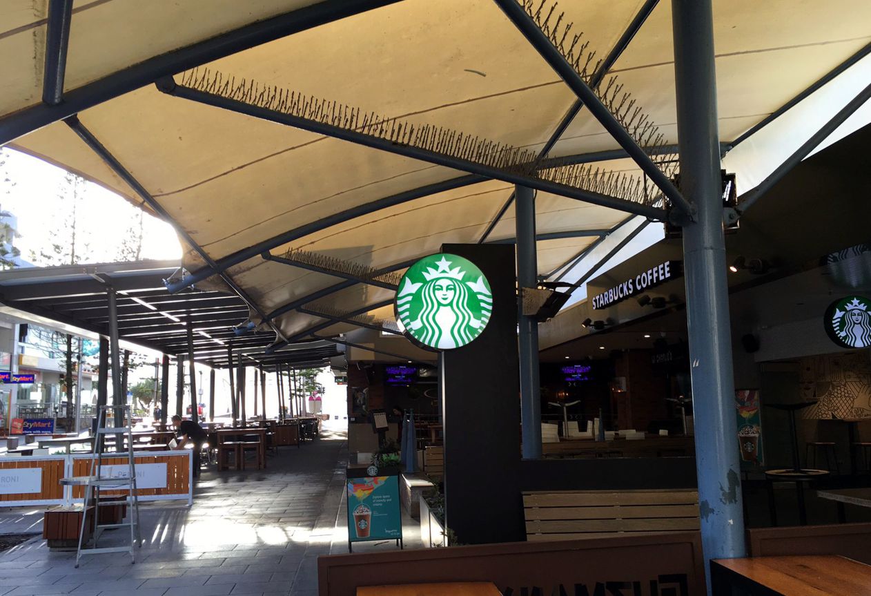 Starbucks Surfers Paradise
